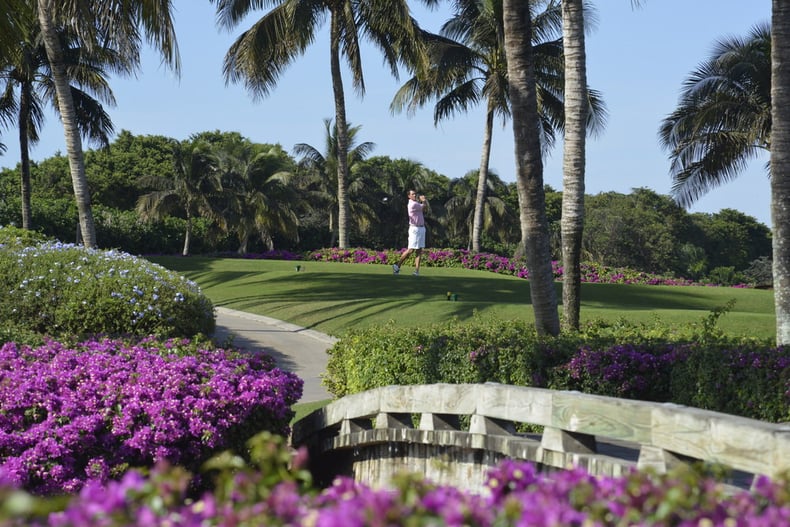 Grey Oaks Country Club
