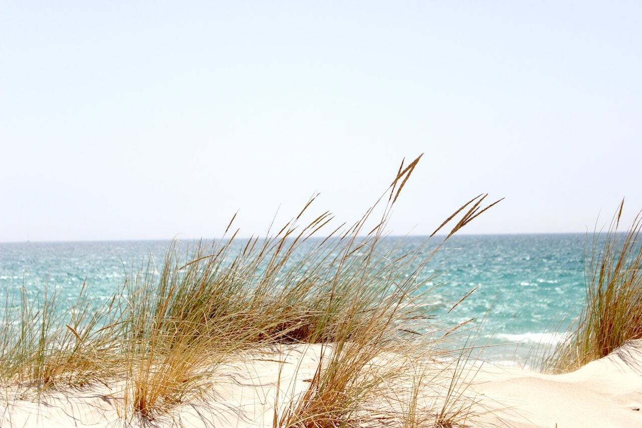 naples florida