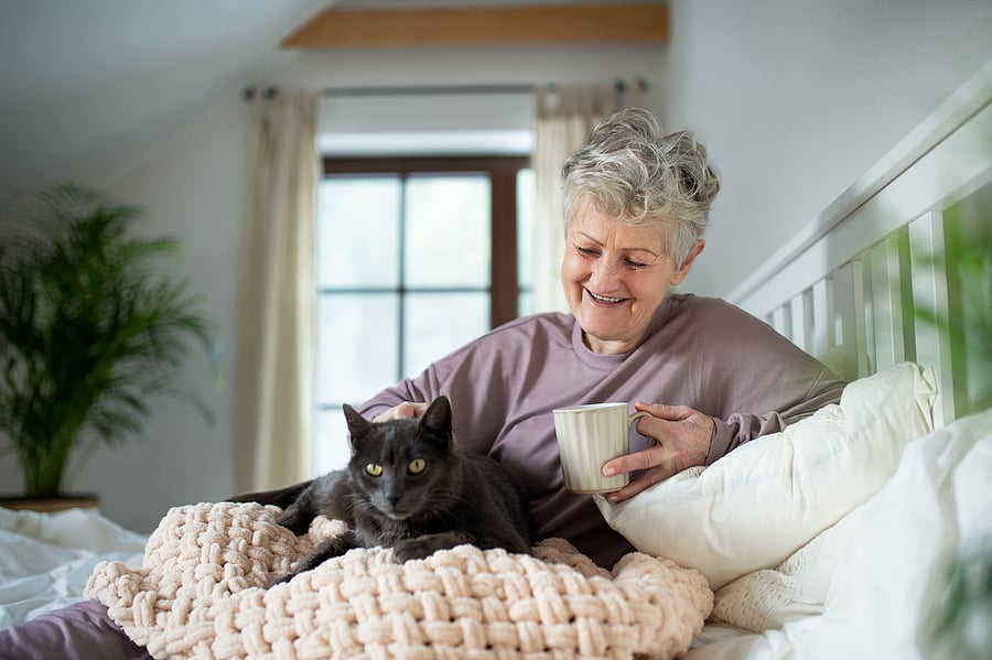 bigstock-Happy-Senior-Woman-With-Cat-Re-417493399